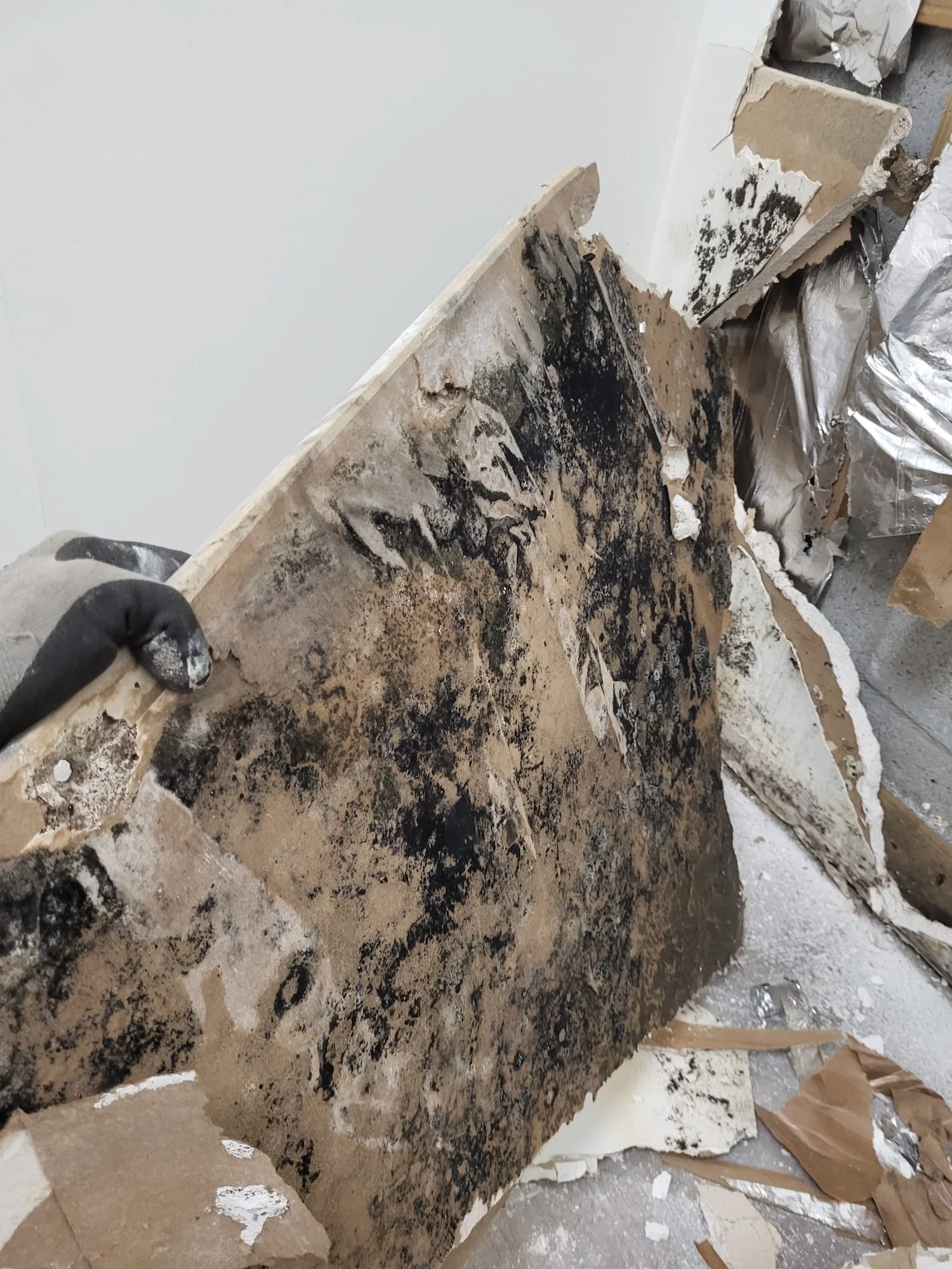 Masterpros crew performing controlled demolition for mold remediation