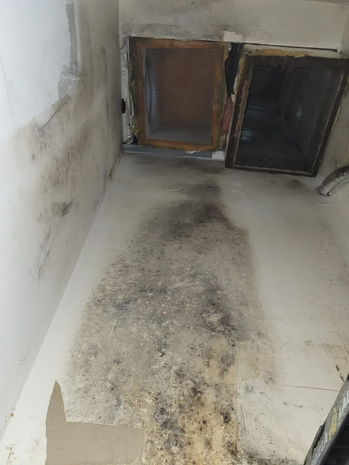 HVAC system inspection during mold remediation assessment