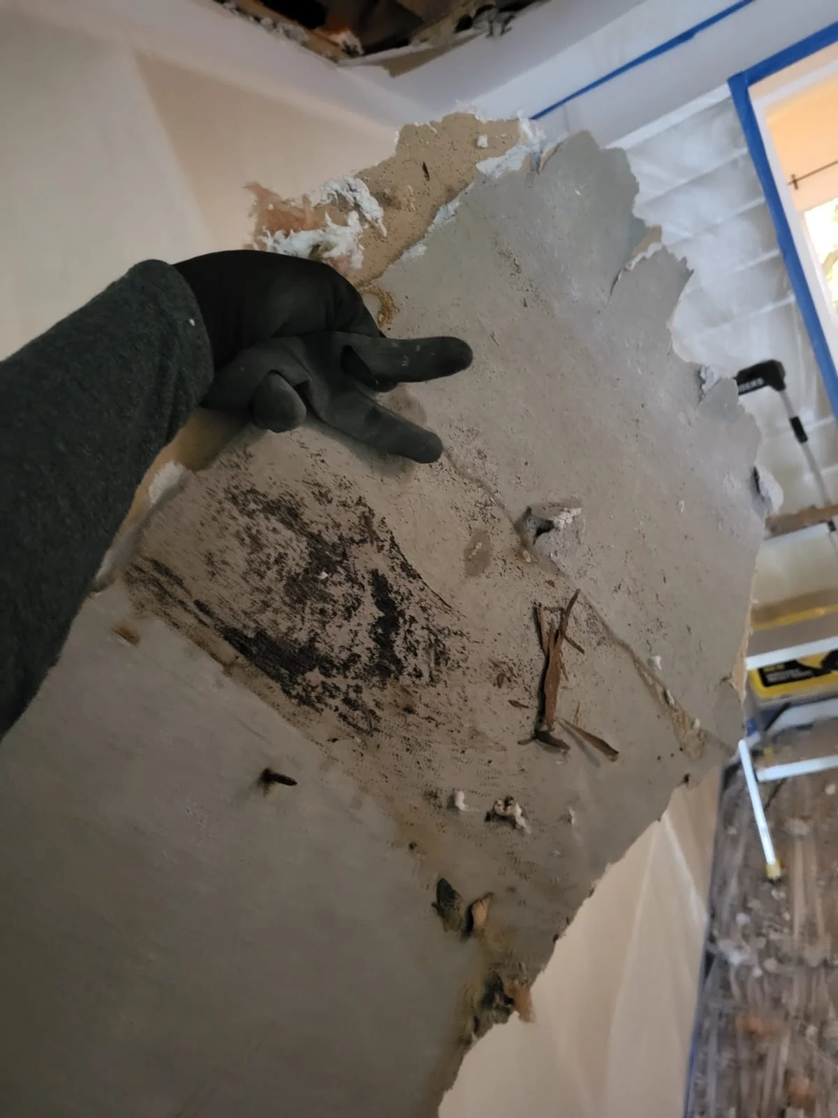 Mold remediation project in a Hollywood Florida home
