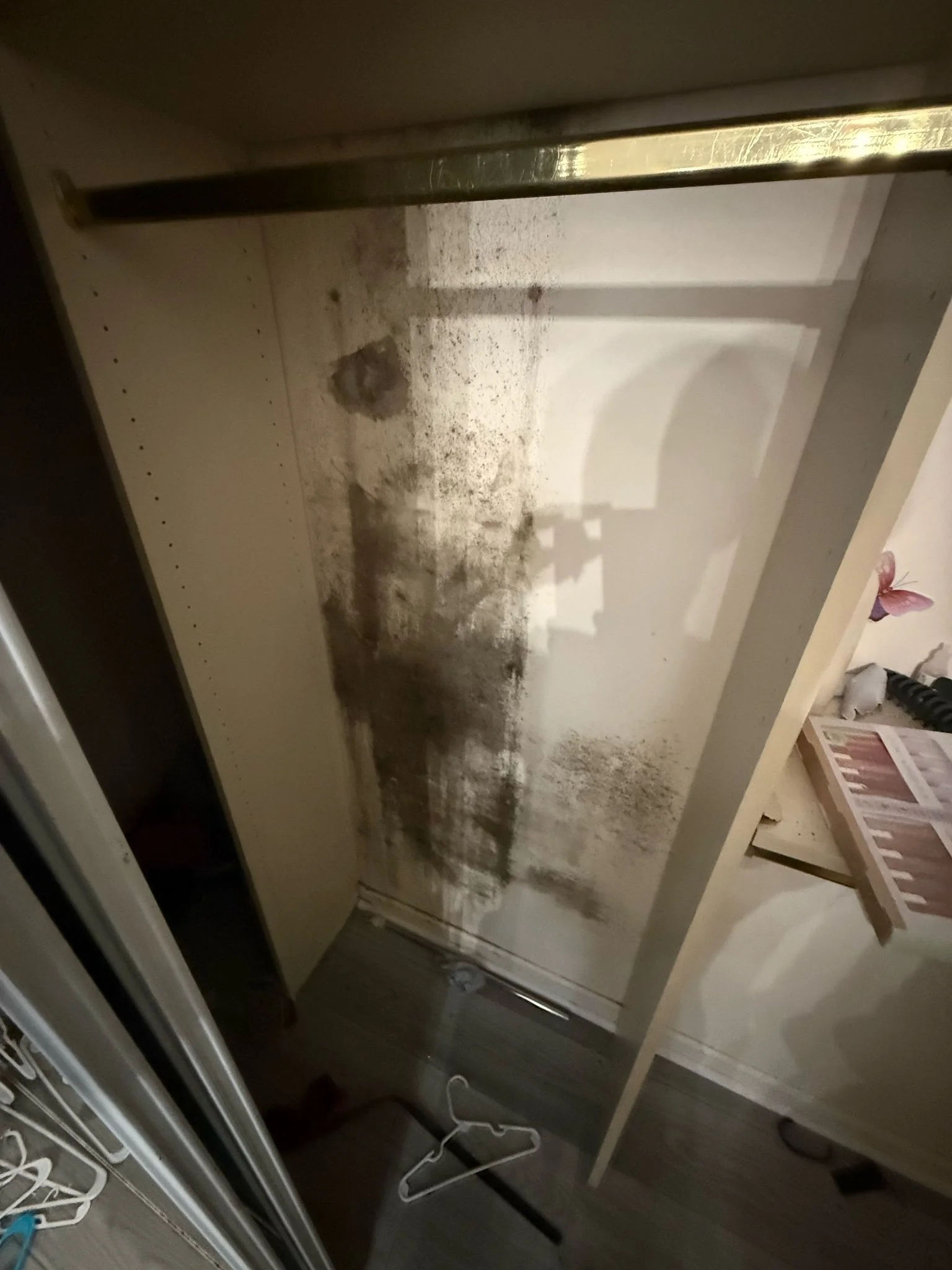 Roof leak damage with mold growth in Fort Lauderdale Florida