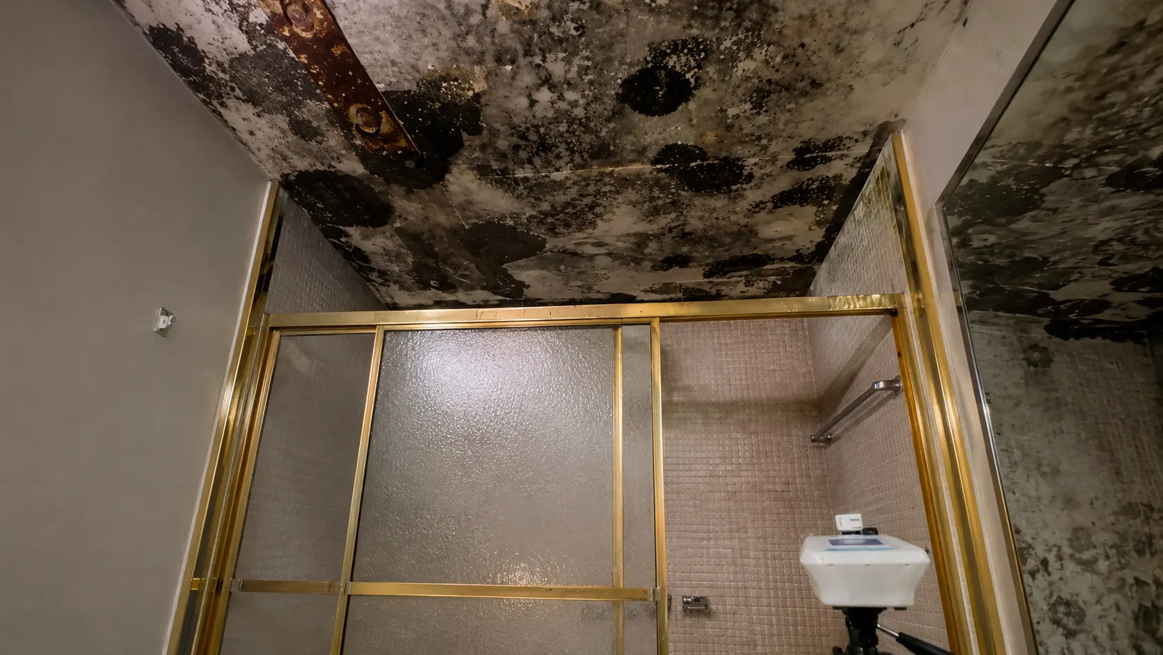 Mold Testing service hero image in South Florida